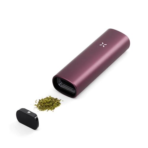 PAX Plus Vaporizer Complete Kit *Elderberry | Holunderbeere*