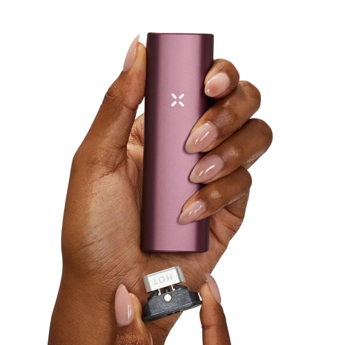 PAX Plus Vaporizer Complete Kit *Elderberry | Holunderbeere*