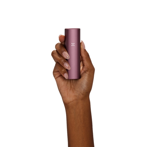 PAX Plus Vaporizer Complete Kit *Elderberry | Holunderbeere*