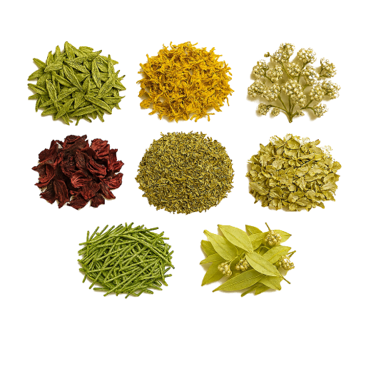 BIO Kräuterpaket VIII - Wohlfühl-Mix - 8 Kräuter