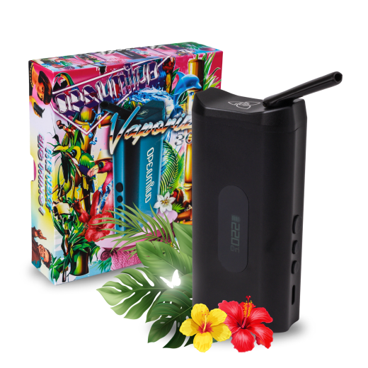 HIZEN Nanu x Vaporizer 3000