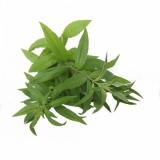 BIO Eisenkraut (Verbena officinalis L.) (10g)