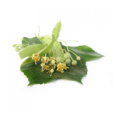 BIO Lindenblüten (Tilia cordata MILL.) (10g)