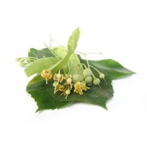 BIO Lindenblüten (Tilia cordata MILL.) (10g)